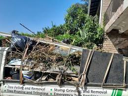 Best Dumpster Rental Services  in Hightstown, NJ