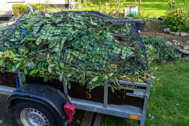 Best Shed Removal  in Hightstown, NJ